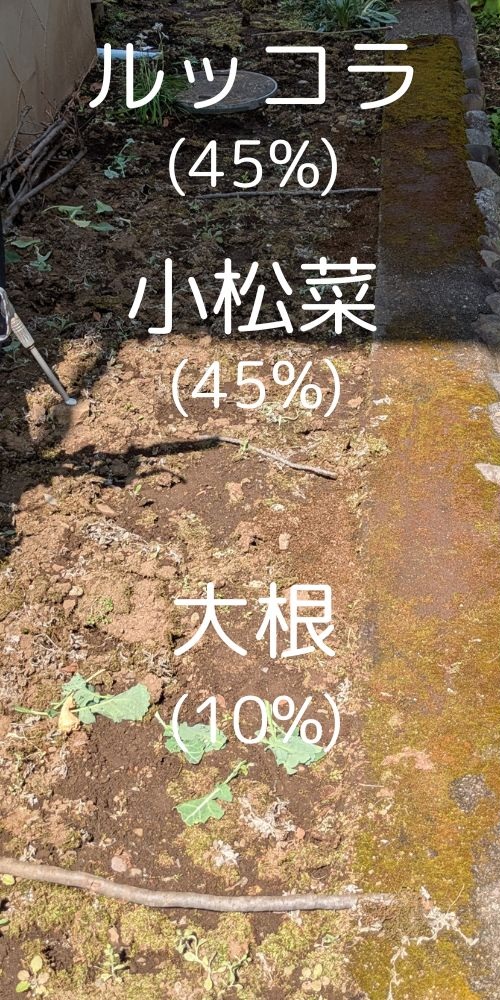 【庭の実験|第1回】スコップが入らない固い土を耕さずに改善してみる